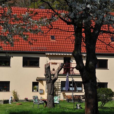Ferienwohnung An Der Elbe シュタット・ヴェーレン エクステリア 写真