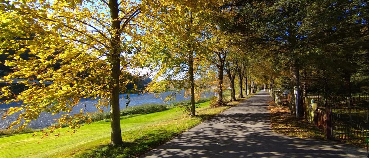 Ferienwohnung An Der Elbe シュタット・ヴェーレン エクステリア 写真