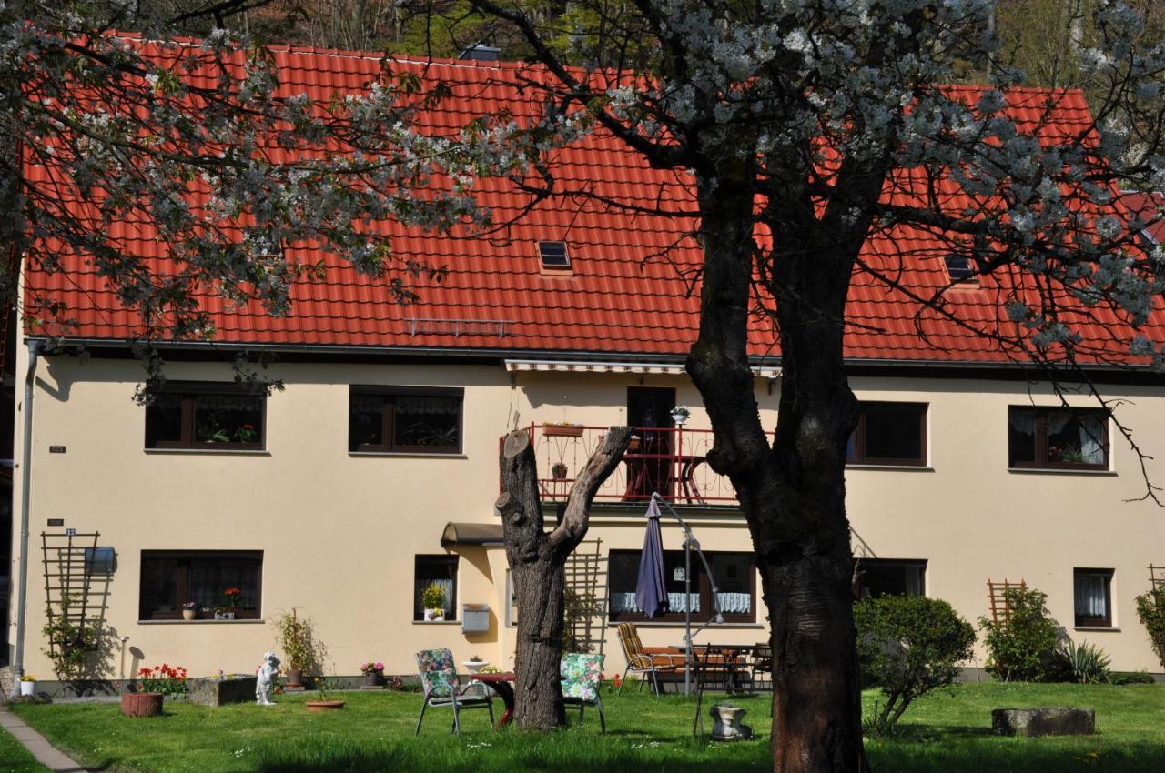 Ferienwohnung An Der Elbe シュタット・ヴェーレン エクステリア 写真